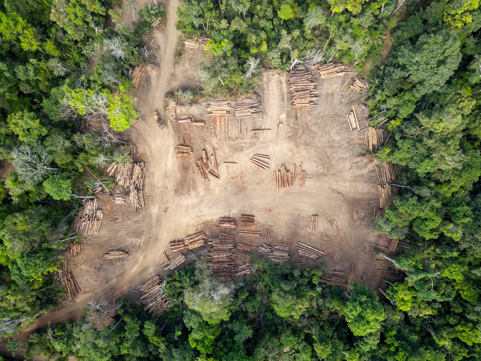 Aerial view of logging yard in Amazon rainforest