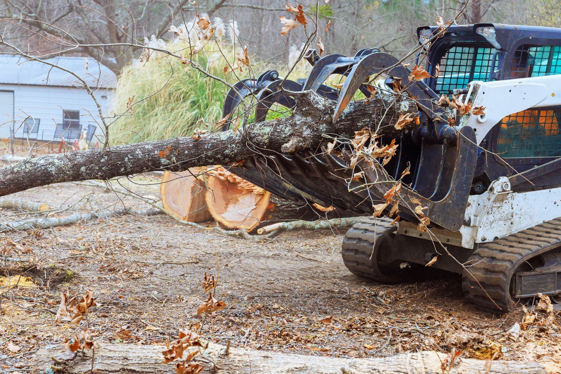 Skid steer loader transporting tree trunk clearing debris