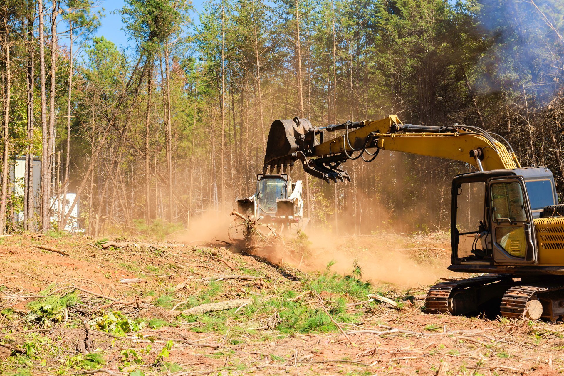 Heavy equipment clearing land for construction