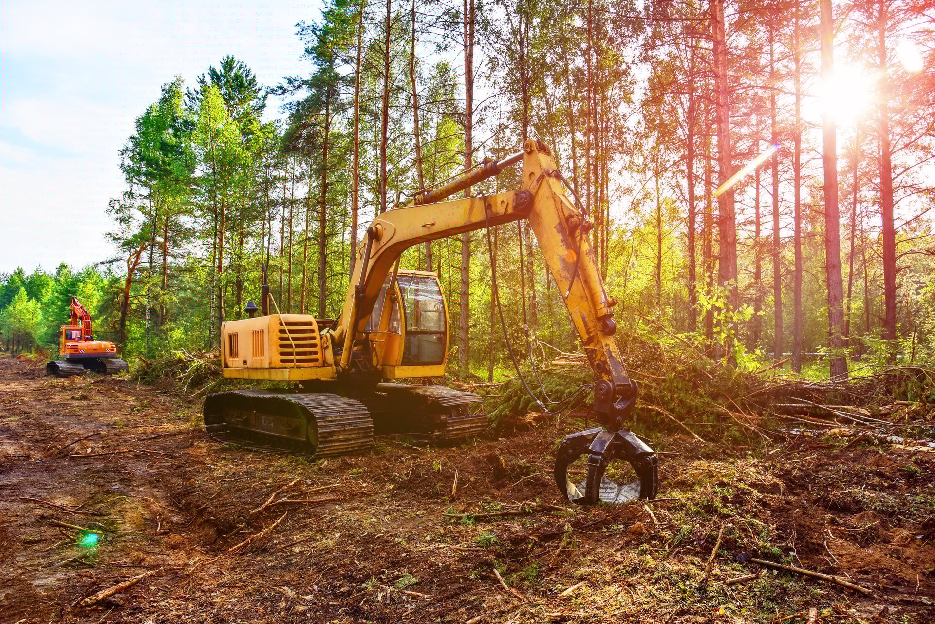 Excavator clearing forest for new development