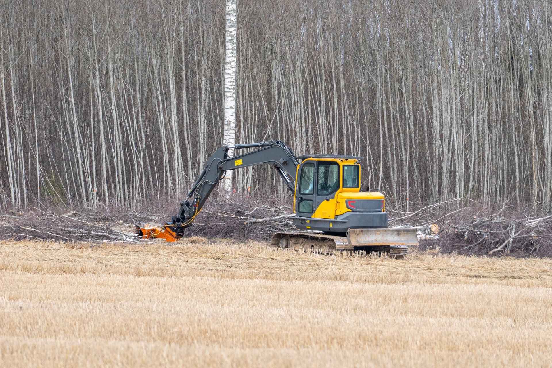 Excavator clearing land at forest edge