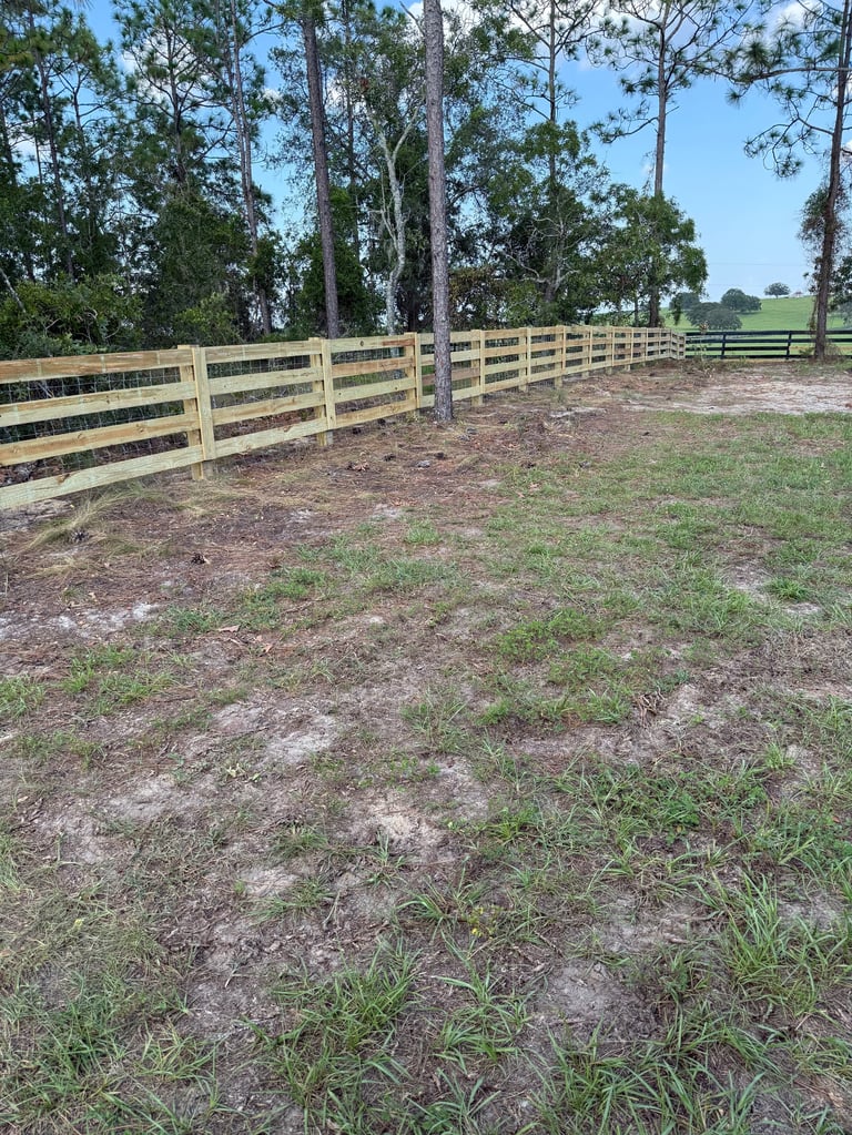Wooden ranch fence surrounding a grassy pasture with tall trees under blue sky