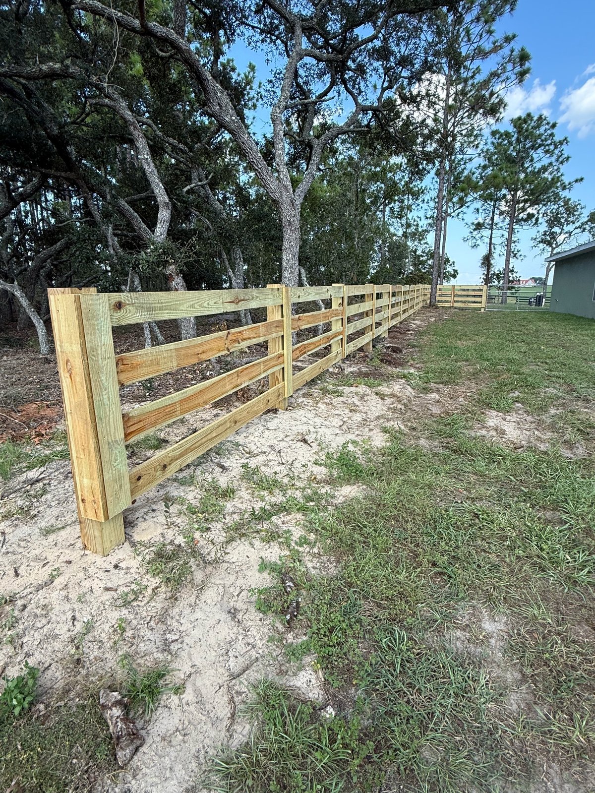 Wooden ranch fence extending along a pasture with large oak trees, green grass, and farm buildings in the background under clear blue sky