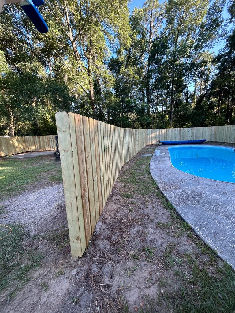 Newly constructed wooden fence surrounding a backyard swimming pool with concrete decking and tall trees in background